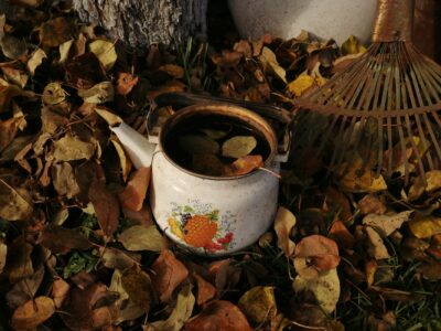 Feuilles mortes : interdit de les brûler, que faire à la place cet automne ?