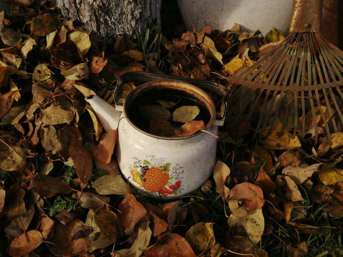 Feuilles mortes : interdit de les brûler, que faire à la place cet automne ?